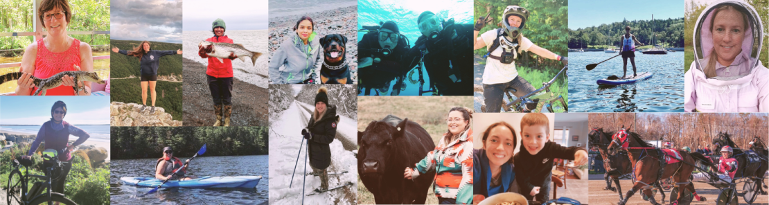 Escape Entries Escape Entries