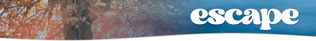 Fall Escape Fall Escape