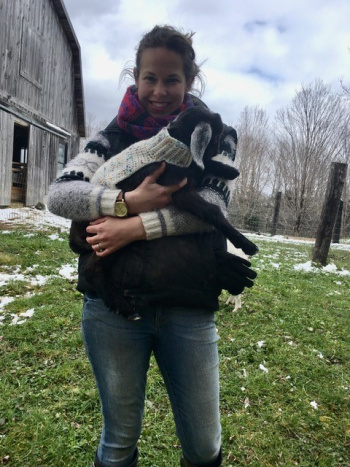 Lisa Dorion goat Lisa Dorion goat