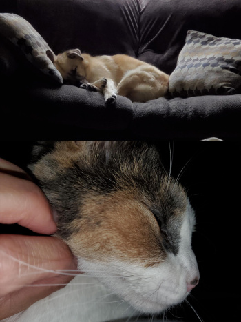 Amy Ward, RN Amy Ward, RN