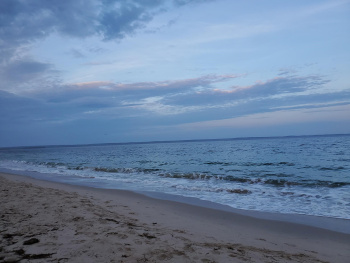 Amy Ward, RN Amy Ward, RN