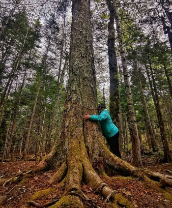 Crystal Francis, LPN Crystal Francis, LPN