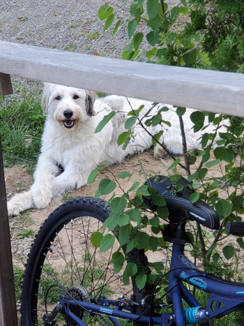 Dorothy Smith, LPN Dorothy Smith, LPN