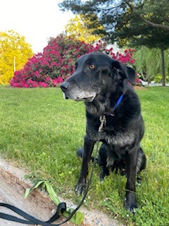 Lesley Fraser, RN Lesley Fraser, RN