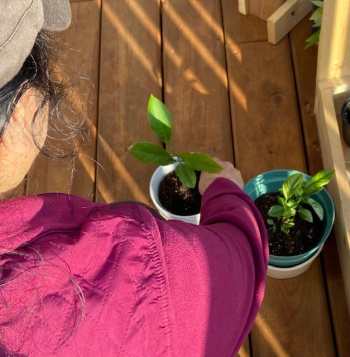 Mennie Alba, RN Mennie Alba, RN