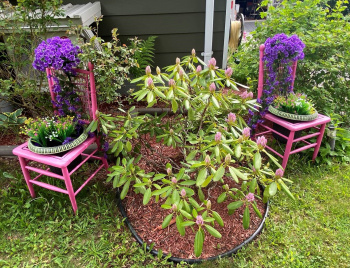 Tammy Hatcher, RN Tammy Hatcher, RN