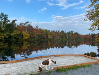 Lorianne Peach, RN Lorianne Peach, RN