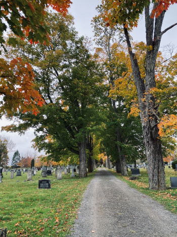 Holly Dexter, LPN Holly Dexter, LPN