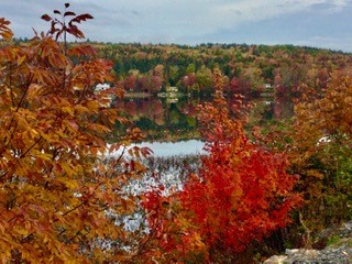 Judy Veinott, LPN Judy Veinott, LPN