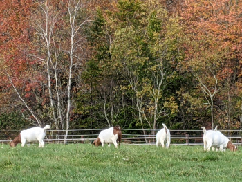 Michelle Lowe Michelle Lowe