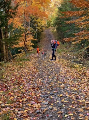 Noel Ross, RN Noel Ross, RN