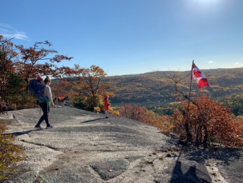 Noel Ross, RN Noel Ross, RN