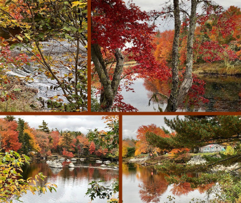 Rhonda Jacquard, LPN Rhonda Jacquard, LPN