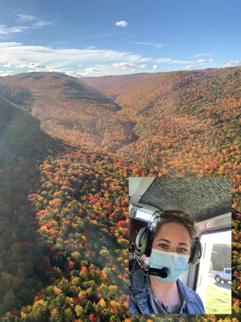 Stephanie Harvey, LPN  Stephanie Harvey, LPN