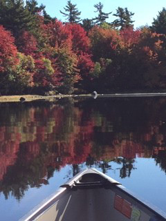 Susan Savage, NP Susan Savage, NP