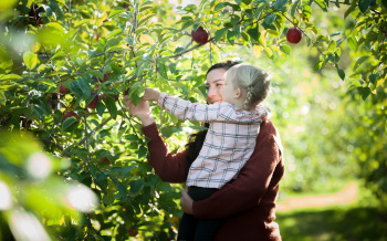 Amy Thibeau, RN Amy Thibeau, RN