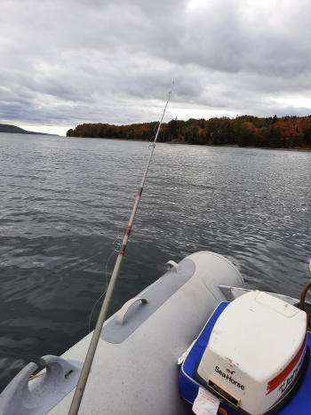 Cathy Burchell, RN Cathy Burchell, RN