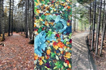 Glenda Keddy Oliveira, LPN Glenda Keddy Oliveira, LPN